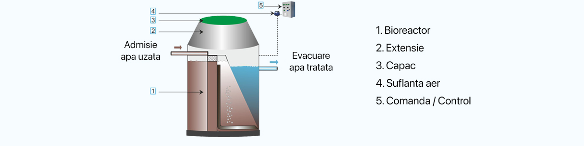 Sistemul standard